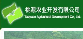 浮梁縣農(nóng)業(yè)開發(fā)公司與茶葉大數(shù)據(jù) 異合食品餐飲網(wǎng)運營新機遇