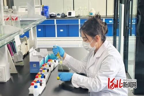 河北遵化 特色產業(yè)激活縣域經濟發(fā)展新動能